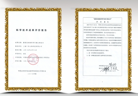 Evaluation Report on Scientific and Technological Achievements